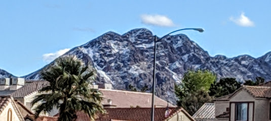 Residential rooftops and palm trees in the foreground, with a large, snow-dusted mountain and a streetlamp in the background under a clear blue sky.