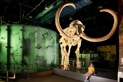 A person sits near a large woolly mammoth skeleton display inside a museum with green-lit informational panels in the background.